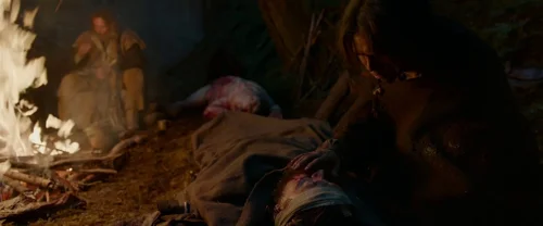Still frame 41 from The Revenant (2015) directed by Alejandro G. Iñárritu