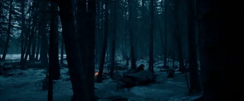 Still frame 49 from The Revenant (2015) directed by Alejandro G. Iñárritu