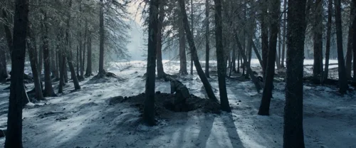 Still frame 50 from The Revenant (2015) directed by Alejandro G. Iñárritu