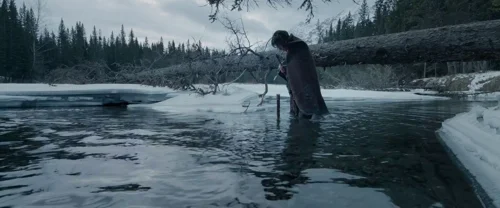 Still frame 52 from The Revenant (2015) directed by Alejandro G. Iñárritu