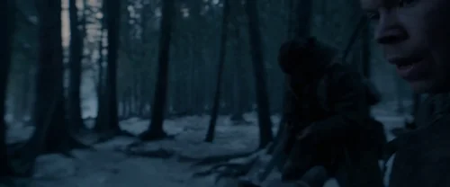 Still frame 57 from The Revenant (2015) directed by Alejandro G. Iñárritu