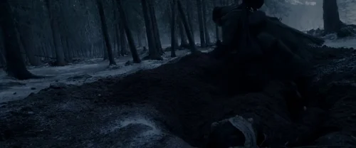 Still frame 60 from The Revenant (2015) directed by Alejandro G. Iñárritu