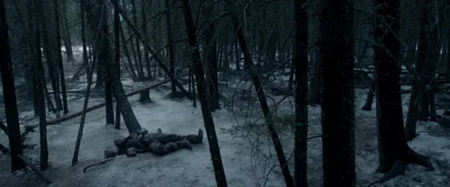 Still frame 72 from The Revenant (2015) directed by Alejandro G. Iñárritu