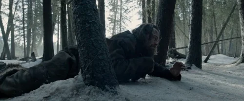 Still frame 70 from The Revenant (2015) directed by Alejandro G. Iñárritu