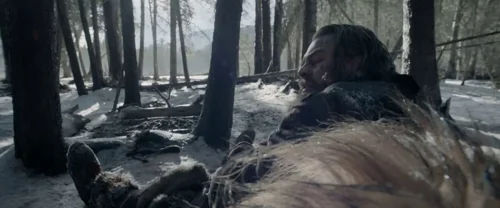 Still frame 77 from The Revenant (2015) directed by Alejandro G. Iñárritu