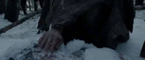 Still frame 74 from The Revenant (2015) directed by Alejandro G. Iñárritu