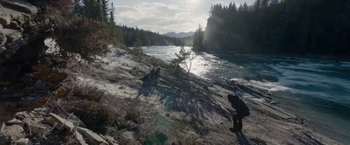 The Revenant