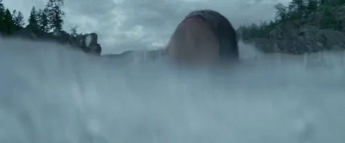 Still frame 83 from The Revenant (2015) directed by Alejandro G. Iñárritu