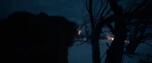 Still frame 101 from The Revenant (2015) directed by Alejandro G. Iñárritu