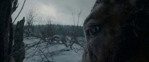 Still frame 104 from The Revenant (2015) directed by Alejandro G. Iñárritu