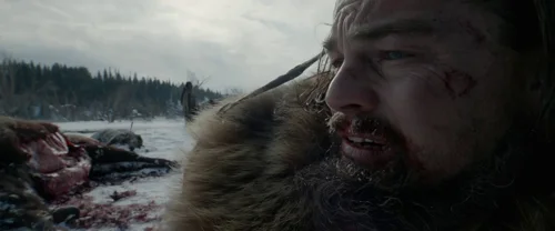Still frame 105 from The Revenant (2015) directed by Alejandro G. Iñárritu