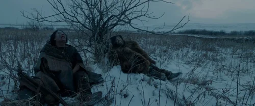 Still frame 112 from The Revenant (2015) directed by Alejandro G. Iñárritu