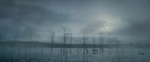Still frame 113 from The Revenant (2015) directed by Alejandro G. Iñárritu