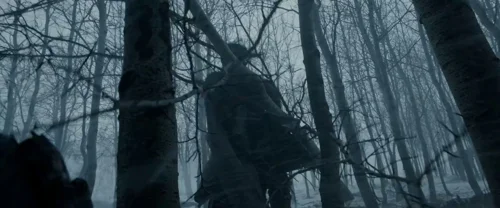 Still frame 116 from The Revenant (2015) directed by Alejandro G. Iñárritu