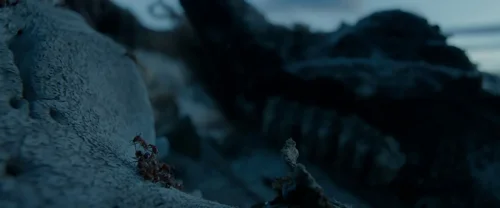 The Revenant