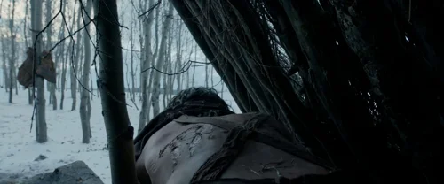 Still frame 118 from The Revenant (2015) directed by Alejandro G. Iñárritu