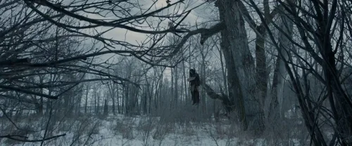 Still frame 122 from The Revenant (2015) directed by Alejandro G. Iñárritu