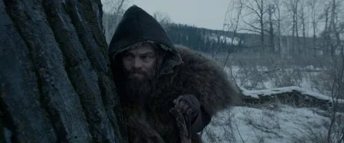 Still frame 123 from The Revenant (2015) directed by Alejandro G. Iñárritu