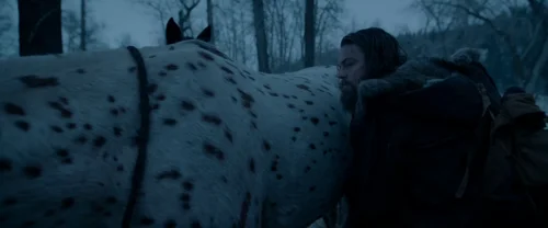 Still frame 120 from The Revenant (2015) directed by Alejandro G. Iñárritu