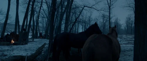 Still frame 125 from The Revenant (2015) directed by Alejandro G. Iñárritu