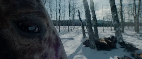 Still frame 128 from The Revenant (2015) directed by Alejandro G. Iñárritu