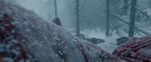Still frame 134 from The Revenant (2015) directed by Alejandro G. Iñárritu