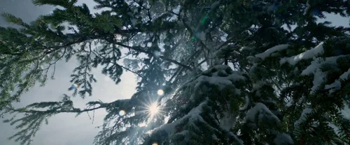 Still frame 135 from The Revenant (2015) directed by Alejandro G. Iñárritu