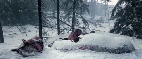 Still frame 137 from The Revenant (2015) directed by Alejandro G. Iñárritu