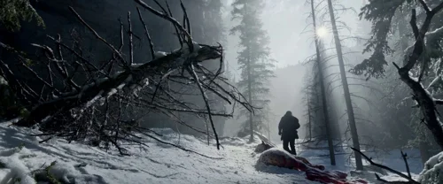 Still frame 138 from The Revenant (2015) directed by Alejandro G. Iñárritu