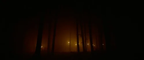 Still frame 141 from The Revenant (2015) directed by Alejandro G. Iñárritu