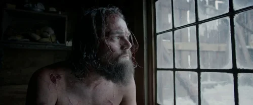 Still frame 149 from The Revenant (2015) directed by Alejandro G. Iñárritu