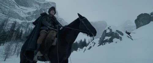 Still frame 156 from The Revenant (2015) directed by Alejandro G. Iñárritu