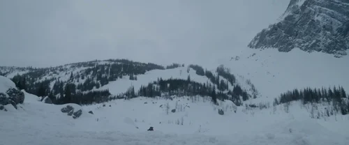 Still frame 155 from The Revenant (2015) directed by Alejandro G. Iñárritu