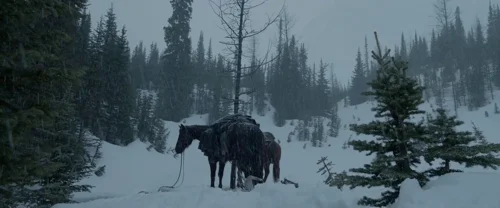 Still frame 158 from The Revenant (2015) directed by Alejandro G. Iñárritu