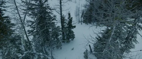 Still frame 162 from The Revenant (2015) directed by Alejandro G. Iñárritu