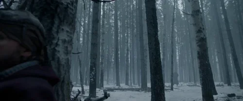 Still frame 160 from The Revenant (2015) directed by Alejandro G. Iñárritu