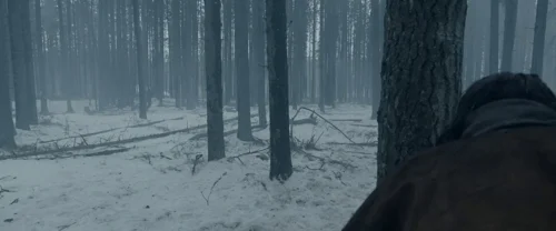 Still frame 163 from The Revenant (2015) directed by Alejandro G. Iñárritu