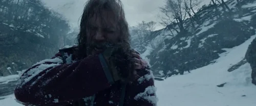 Still frame 166 from The Revenant (2015) directed by Alejandro G. Iñárritu