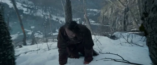 Still frame 172 from The Revenant (2015) directed by Alejandro G. Iñárritu