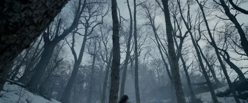 Still frame 173 from The Revenant (2015) directed by Alejandro G. Iñárritu