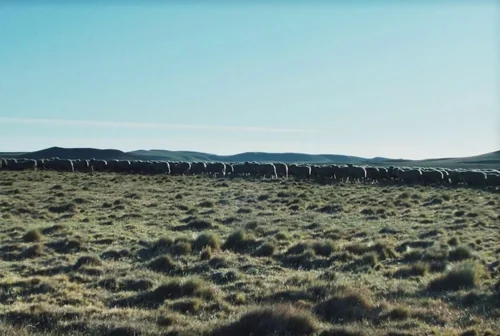 Still frame 2 from The Settlers (2023) directed by Felipe Gálvez Haberle