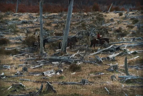 Still frame 49 from The Settlers (2023) directed by Felipe Gálvez Haberle
