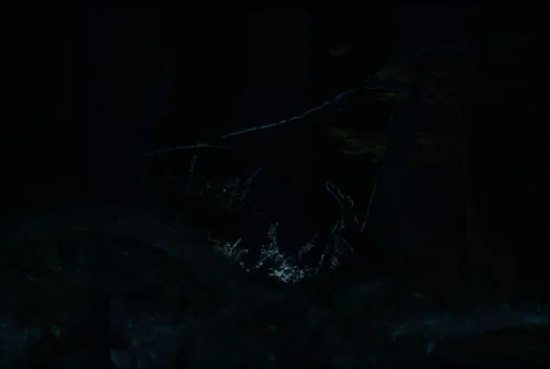 Still frame 58 from The Settlers (2023) directed by Felipe Gálvez Haberle