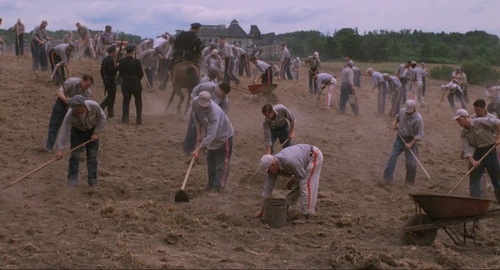 Still frame 144 from The Shawshank Redemption (1994) directed by Frank Darabont
