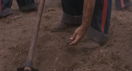 The Shawshank Redemption