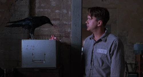 Still frame 159 from The Shawshank Redemption (1994) directed by Frank Darabont