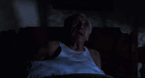 Still frame 187 from The Shawshank Redemption (1994) directed by Frank Darabont