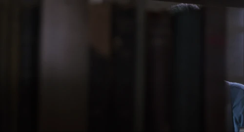 Still frame 251 from The Shawshank Redemption (1994) directed by Frank Darabont