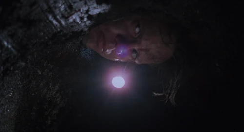 The Shawshank Redemption