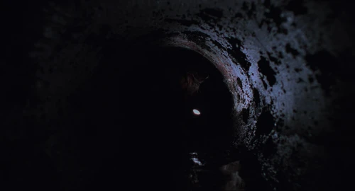 The Shawshank Redemption
